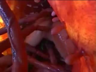 Fierbinte oriental tarfa suge tentacul și devine un alt unul în propriu pasarica